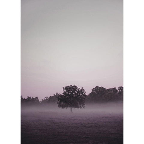 Purple Light 2 Black Modern Wood Framed Art Print by Design Fabrikken