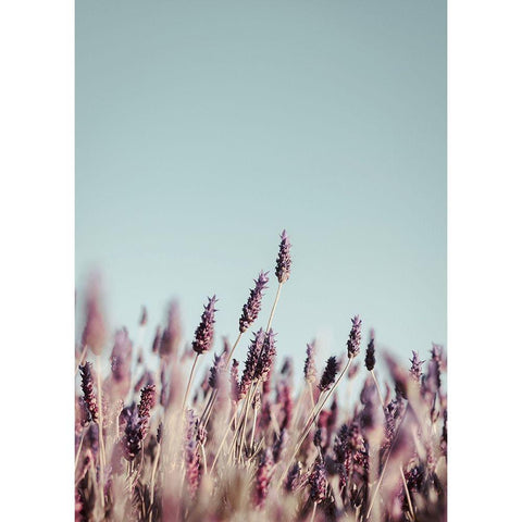 Field Haze Black Modern Wood Framed Art Print by Design Fabrikken