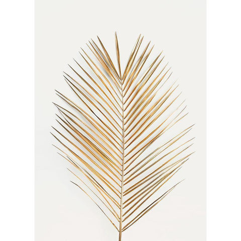 Palm Leaf Gold Gold Ornate Wood Framed Art Print with Double Matting by Design Fabrikken