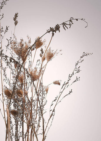 Everlasting Black Ornate Wood Framed Art Print with Double Matting by Design Fabrikken