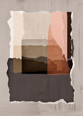 Torn 1 Black Ornate Wood Framed Art Print with Double Matting by Design Fabrikken