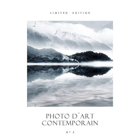 Photo DÂ´Art No 3 Black Modern Wood Framed Art Print by Design Fabrikken
