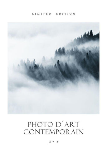 Photo DÂ´Art No 4 Black Ornate Wood Framed Art Print with Double Matting by Design Fabrikken
