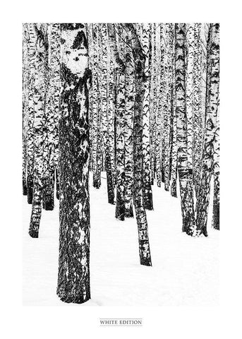 White Edition 1 Black Ornate Wood Framed Art Print with Double Matting by Design Fabrikken