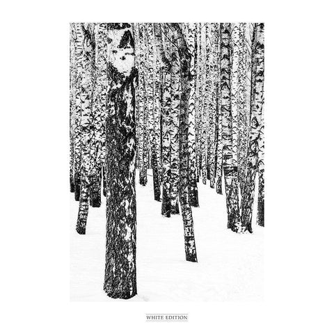 White Edition 1 White Modern Wood Framed Art Print by Design Fabrikken