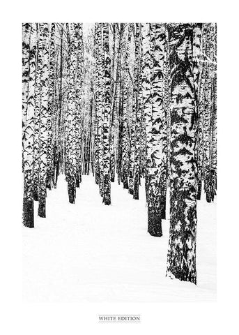 White Edition 2 Black Ornate Wood Framed Art Print with Double Matting by Design Fabrikken