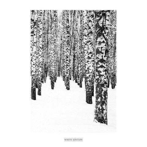 White Edition 2 Black Modern Wood Framed Art Print by Design Fabrikken