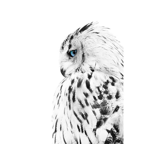 White Owl White Modern Wood Framed Art Print by Design Fabrikken