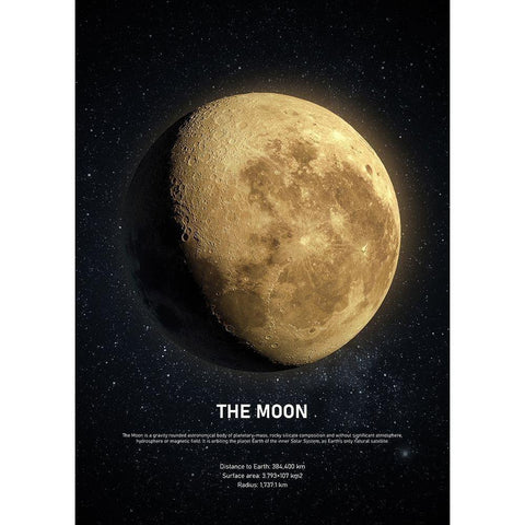 The Moon Gold Ornate Wood Framed Art Print with Double Matting by Design Fabrikken