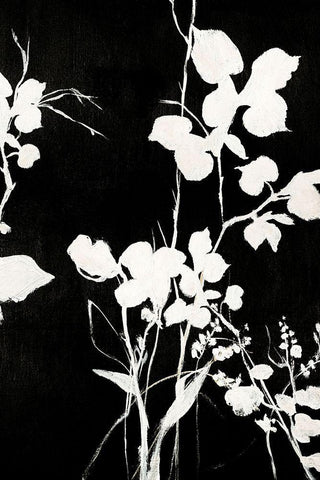 Silhouette Leaves 1 Black Ornate Wood Framed Art Print with Double Matting by Design Fabrikken