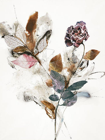 Playing Flower 1 White Modern Wood Framed Art Print with Double Matting by Design Fabrikken