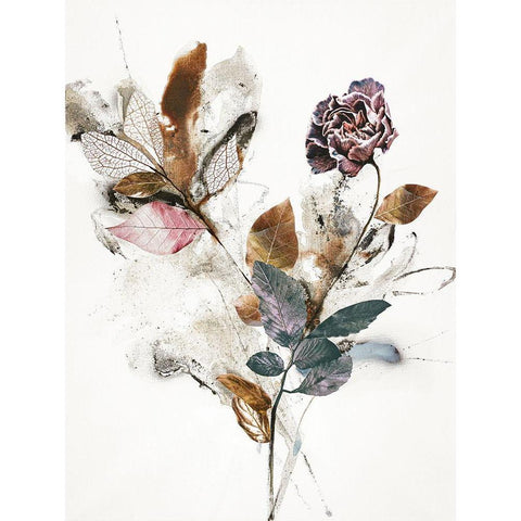 Playing Flower 1 Black Modern Wood Framed Art Print with Double Matting by Design Fabrikken