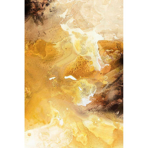 Still Water 6 Gold Ornate Wood Framed Art Print with Double Matting by Design Fabrikken