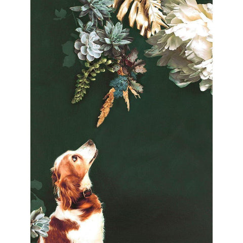 Pet Couture 1 Black Modern Wood Framed Art Print with Double Matting by Design Fabrikken