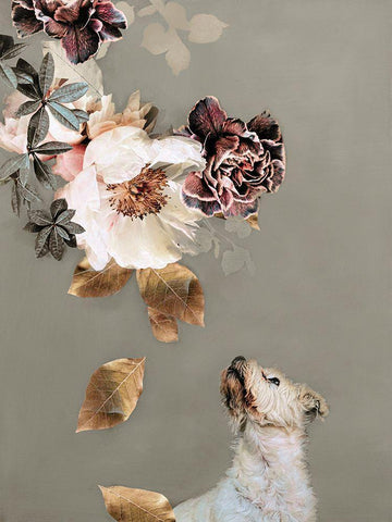 Pet Couture 2 White Modern Wood Framed Art Print with Double Matting by Design Fabrikken