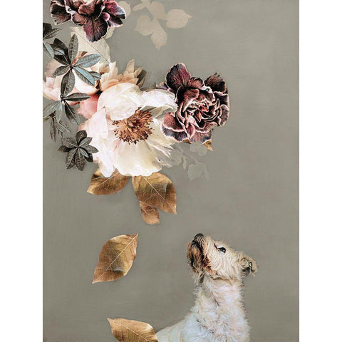 Pet Couture 2 Black Modern Wood Framed Art Print by Design Fabrikken