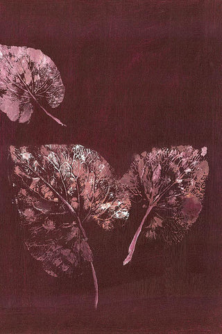 Pure Nature 5 Black Ornate Wood Framed Art Print with Double Matting by Design Fabrikken