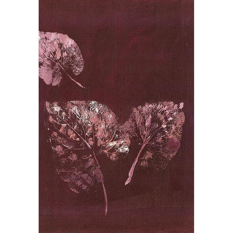 Pure Nature 5 Gold Ornate Wood Framed Art Print with Double Matting by Design Fabrikken