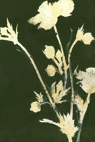 Pure Nature 6 Black Ornate Wood Framed Art Print with Double Matting by Design Fabrikken