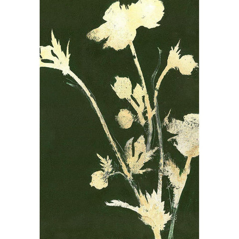 Pure Nature 6 Black Modern Wood Framed Art Print by Design Fabrikken