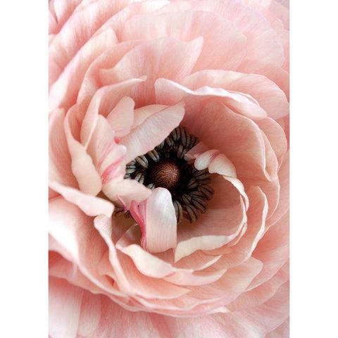 Flower White Modern Wood Framed Art Print by Design Fabrikken