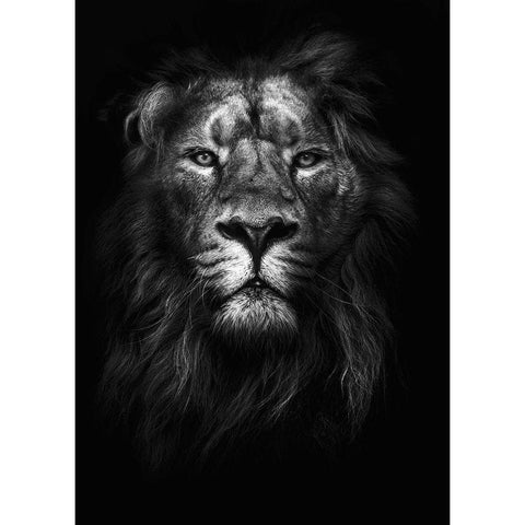 King of Kings White Modern Wood Framed Art Print by Design Fabrikken