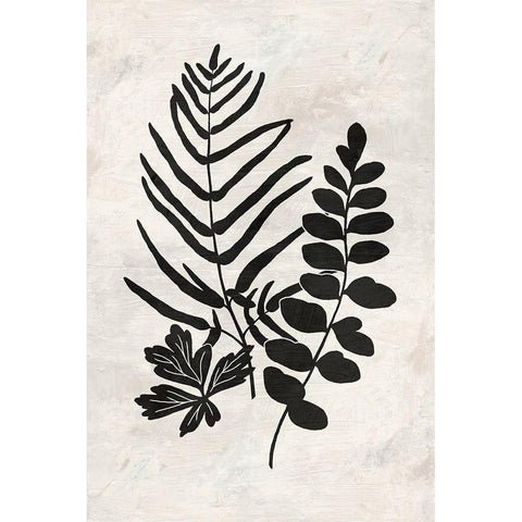 Botanica 1 Black Modern Wood Framed Art Print with Double Matting by Nicoll, Suzanne