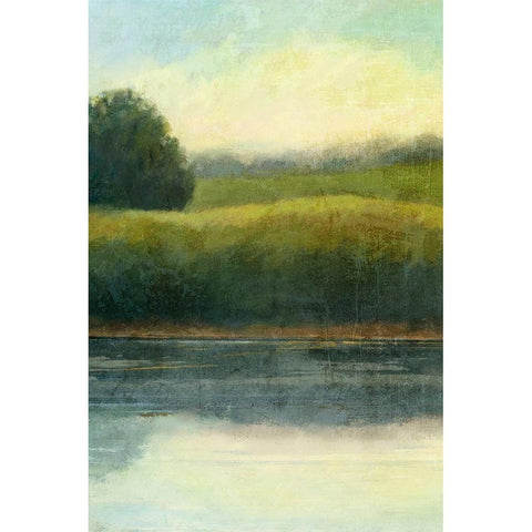 Riverbank 1 Black Modern Wood Framed Art Print by Nicoll, Suzanne
