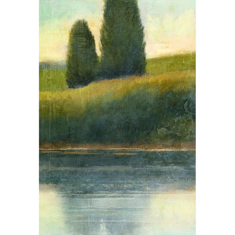 Riverbank 2 Black Modern Wood Framed Art Print with Double Matting by Nicoll, Suzanne
