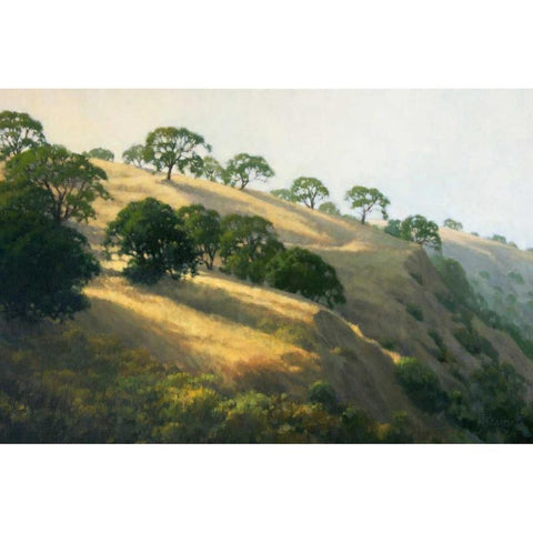 Afternoon Shadows Gold Ornate Wood Framed Art Print with Double Matting by Oleary, Kathy