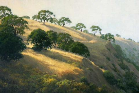 Afternoon Shadows White Modern Wood Framed Art Print with Double Matting by Oleary, Kathy