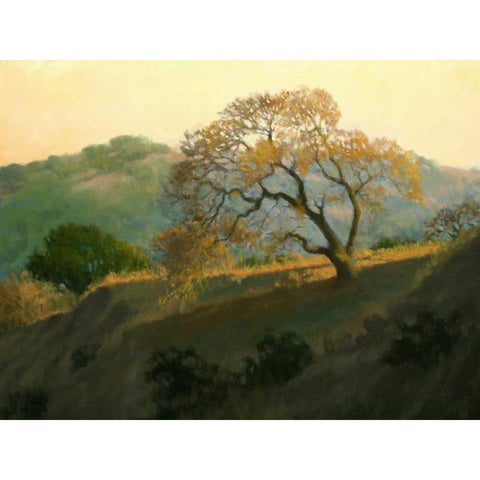 Buckeye Glow Black Modern Wood Framed Art Print by OLeary, Kathy