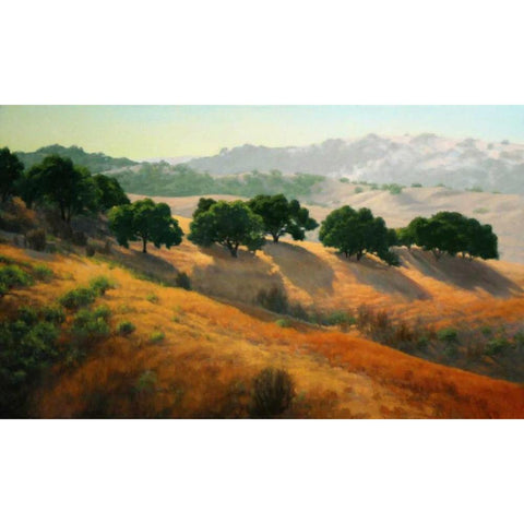 Summer in the Hills Black Modern Wood Framed Art Print with Double Matting by OLeary, Kathy