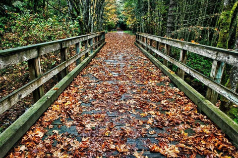 Galloping Goose Black Ornate Wood Framed Art Print with Double Matting by Oldford, Tim