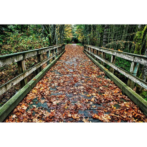 Galloping Goose Gold Ornate Wood Framed Art Print with Double Matting by Oldford, Tim