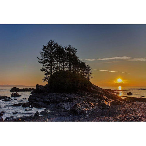 Botany Bay Sunset Gold Ornate Wood Framed Art Print with Double Matting by Oldford, Tim