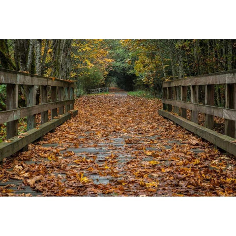 Fall on the Goose (Victoria) White Modern Wood Framed Art Print by Oldford, Tim