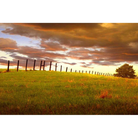 Fenceline, South Dakota Gold Ornate Wood Framed Art Print with Double Matting by ODell, Dale