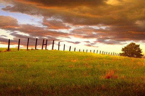 Fenceline, South Dakota White Modern Wood Framed Art Print with Double Matting by ODell, Dale