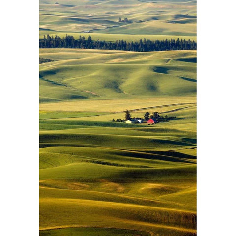Palouse #27 Black Modern Wood Framed Art Print with Double Matting by ODell, Dale