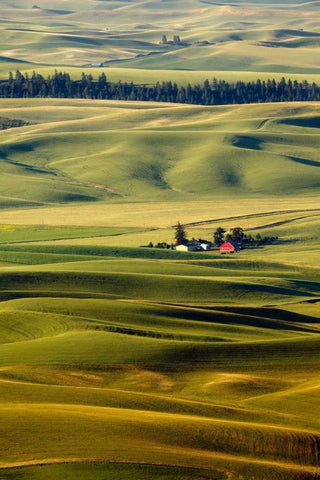Palouse #27 White Modern Wood Framed Art Print with Double Matting by ODell, Dale