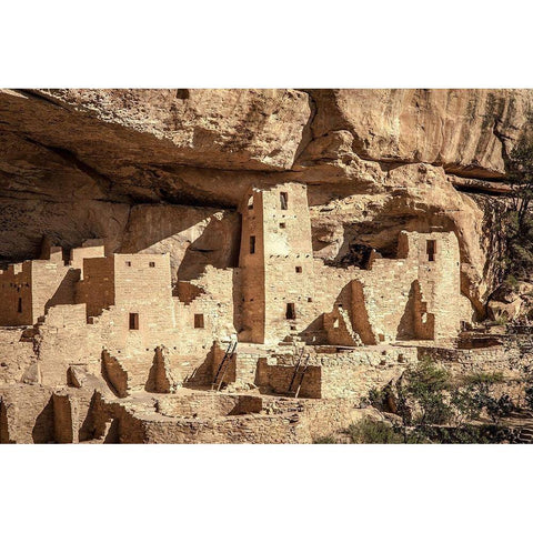 Mesa Verde Black Modern Wood Framed Art Print with Double Matting by Oldford, Tim