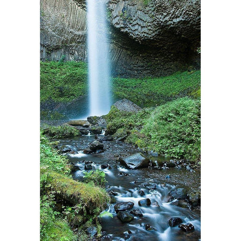Oregon Waterfall Gold Ornate Wood Framed Art Print with Double Matting by Oldford, Tim