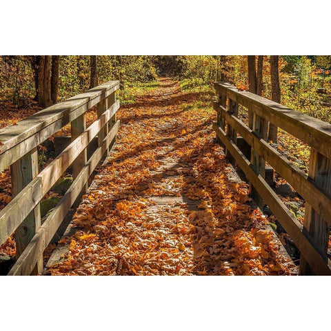 Fall On The Footbridge White Modern Wood Framed Art Print by Oldford, Tim