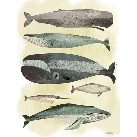 Whales Black Modern Wood Framed Art Print with Double Matting by Oswald, Pete