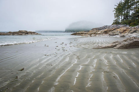 Tonquin Beach Black Ornate Wood Framed Art Print with Double Matting by Oldford, Tim
