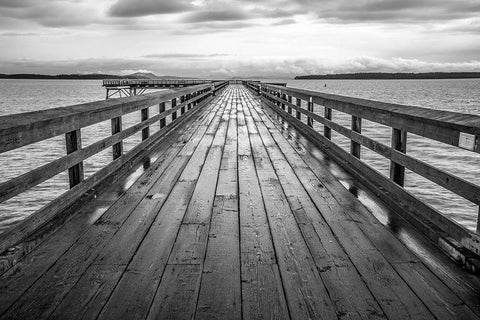 Sidney Pier Black Ornate Wood Framed Art Print with Double Matting by Oldford, Tim