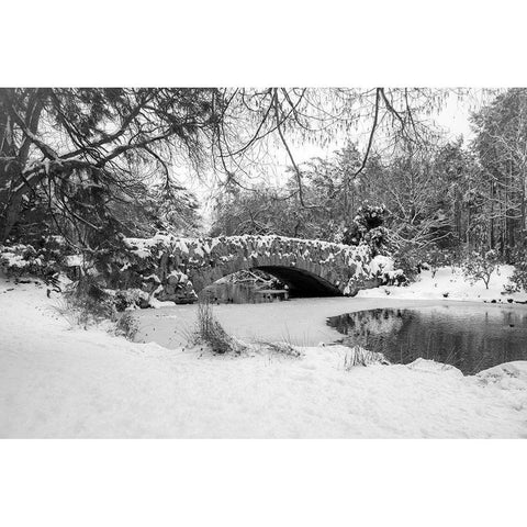 Stone Bridge Black Modern Wood Framed Art Print by Oldford, Tim