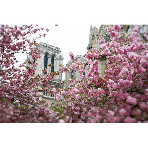 Notre Dame 1 Black Modern Wood Framed Art Print by Okula, Carina