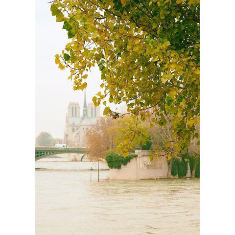 Notre Dame 2 White Modern Wood Framed Art Print by Okula, Carina